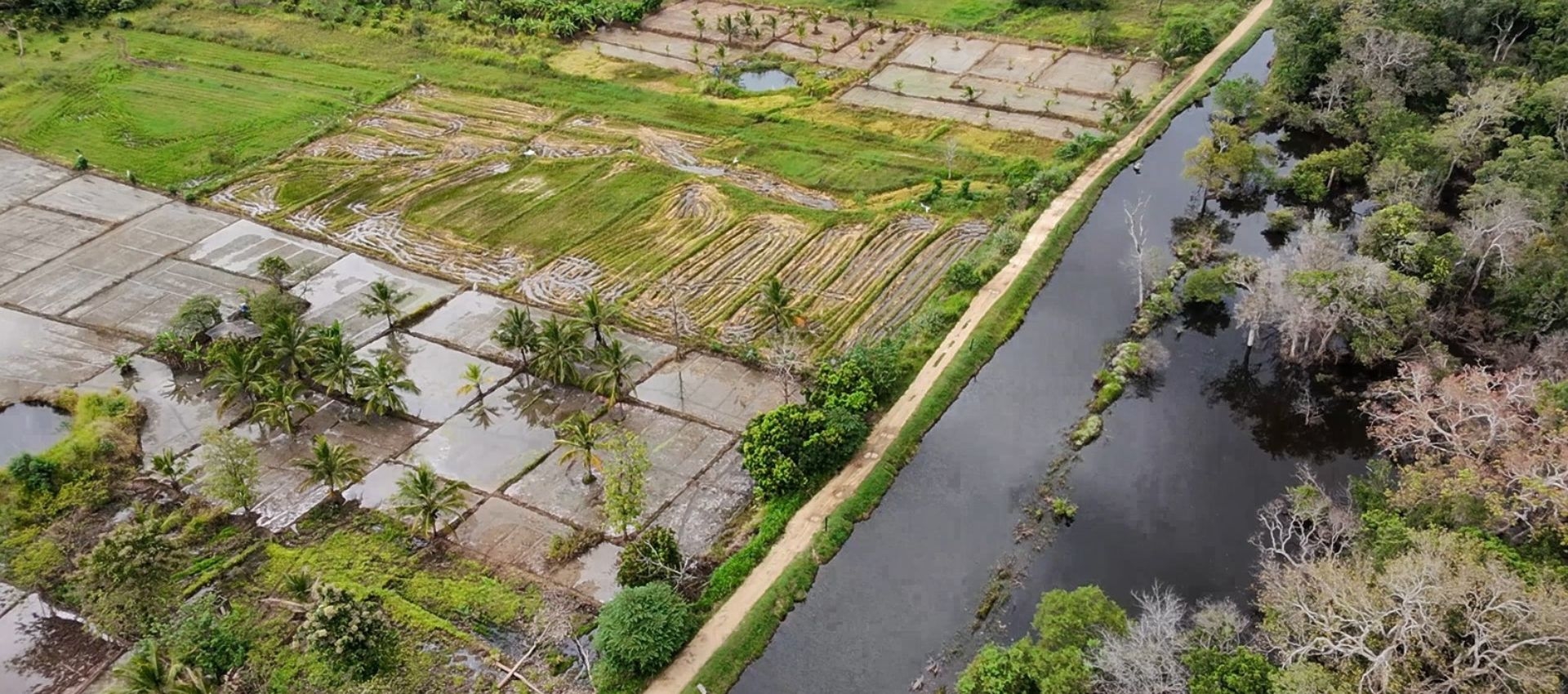 Sustainability Efforts